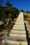 New steep concrete stairs leading upwards through shore vegetation in Croatia, Adriatic, afternoon sunshine.