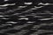 New stylish veneer background in black and white colors. High quality wooden texture.