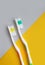 New toothbrush fresh protection sanitation brush tool change purity on a colored background dental sanitation