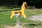 New vintage retro looking outdoor public playground equipment in shape of bright yellow and white cute dog spring rider swing