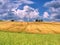 New windmill in fresh field of wheat with cumulus clouds