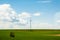 New windmill in green fresh fields in the spring cumulus cloud