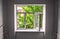 A new window with an open sash and the view of bright green foliage of the tree and the upper floors of the building