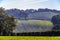 New winter crops showing in farmland near Crowhurst, East Sussex, England