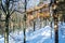 A new wooden lookout tower or sky walking in trees in Pustevny, Beskids, Czech Republic