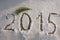 New Year 2015 to write on the snow