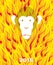 New year 2016. Monkey on flame background. Year of Fire Monkey