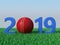 New Year 2019 with Cricket Ball