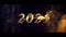 New Year 2021. Happy New Years celebration. Winter animation with gold snowflakes and a ray.