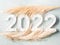 New year 2022 lights numbers with pampas branch on gray turquoise background. Holiday greeting card