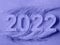 New year 2022 lights numbers with pampas purple greeting card