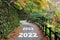 New year 2022 to 2025 on walkway in the mountain with maple trees