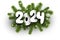 New Year 2024 white paper numbers on realistic green fir twigs and snowflakes