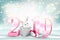 New year background with 2019 numbers and cute bunny