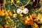 New Year baubles on decorated Christmas Tree with blurred background