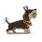 New Year Cartoon Dachshund Puppy Santa Deer