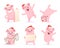 New year cartoon pig. Funny 2019 cute characters boar hog piglet mascot vector illustrations isolated