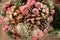 New Year and Christmas still life. Christmas tree branches and cones in a bridal bouquet