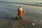 New year decorations. Summer Santa Claus. Christmas on sea vacation.