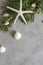 New year frame: top view flat lay pine tree branches with seashells and starfish on grey background. Tropical christmas, holidays