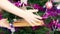 New Year gifts for 2022 theme. Children`s hands take a wrapped karyon envelope from a branch of a decorated Christmas tree. select