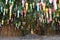 New Year Lanterns and Seated Golden Buddha, Chiang Mai