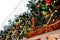 New Year outdoor decor with fir tree branches, garlands, toys