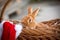 New Year with pets. Bunny and Santa`s hat in a wicker basket. Holidays, winter. Christmas card with a rabbit