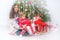 New Year photo session. Young woman and baby girl with gift near Christmas tree