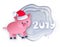 New Year Pig and 2019 numbers