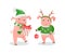 New Year Piglets in Knitwear, Gift Box and Ball