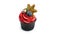New year`s cupcake with red buttercream, decorated with blueberries, gingerbread snowflake and a sprig of firtree.