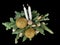 New Year\\\'s decor from candles and coniferous branches.