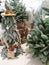 New Year\\\'s forest stump from a Christmas tree. Fabulous goblin from books