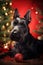 New Year\\\'s happy dog Scotch Terrier3