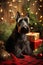 New Year\\\'s happy dog Scotch Terrier7