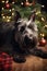 New Year\\\'s happy dog Scotch Terrier8