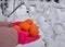 New year time tangerines in the female hands gloves snow winter background