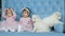 New year two white fluffy puppies and twin sisters sit on blue sofa on photo shoot