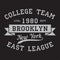New York, Brooklyn - print logo. Graphic design for t-shirt, sport apparel. Typography for clothes. College team, east league.