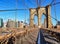 New York City with brooklyn bridge, Lower Manhattan, USA