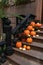 New York City Brownstone Home Decorated with Pumpkins on the Stairs during Autumn