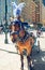 New York City Central Park, Manhattan. Horses and Carriages. Beautiful Sunny Day, Famous Touristic Destination, International Land