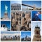 New York city collage