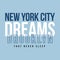 New York City Dreams that never sleep