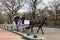 New York City, New York - March 24, 2019: People enjoying a sunny and warm day by taking a horse carriage ride in Central Park, Ne