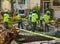 New York City Parks crew works to remove a fallen tree and clears street the aftermath of severe weather after storm Isaias