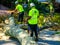 New York City Parks crew works to remove a fallen tree and clears street the aftermath of severe weather after storm Isaias