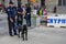 New York City Police Canine Unit Patrolling Downtown