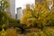 New York City skyline and Central Park in Autumn